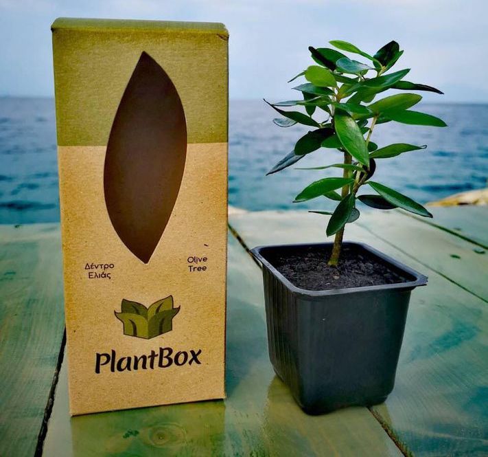 Plantbox Product Photograph